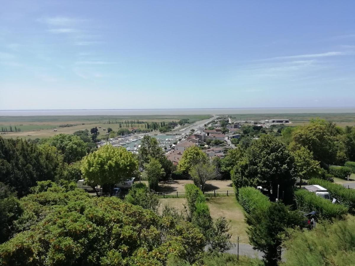 Chateau Des Salles Saint-Fort-sur-Gironde Экстерьер фото