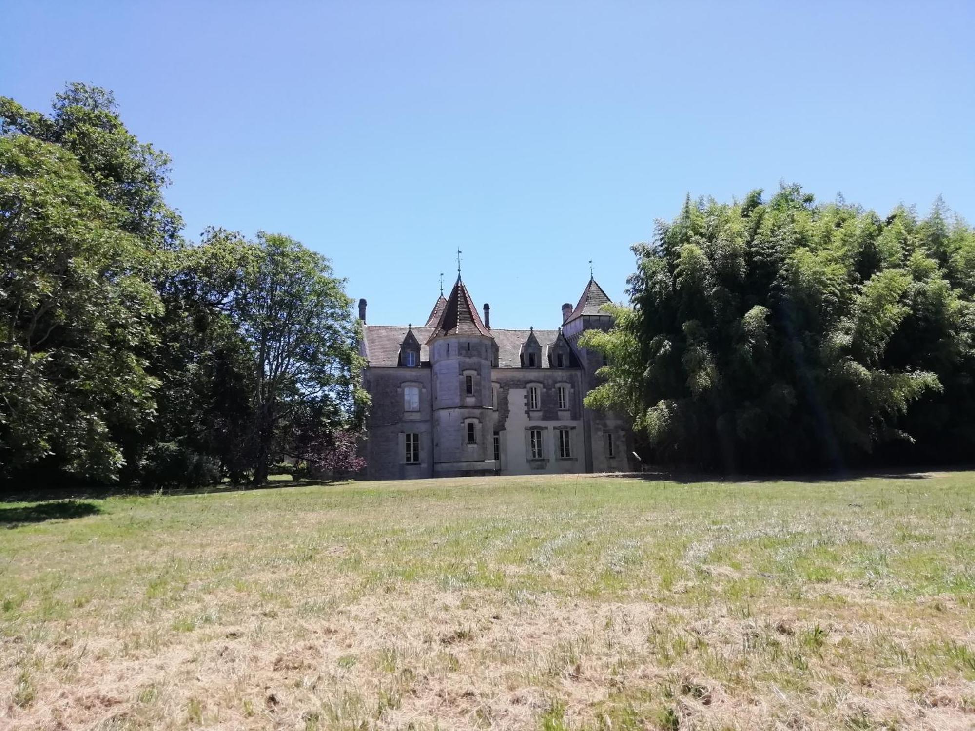 Chateau Des Salles Saint-Fort-sur-Gironde Экстерьер фото